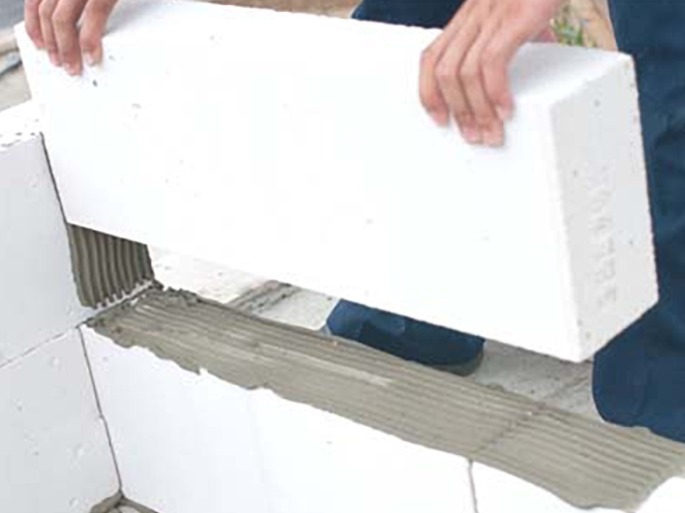 Tân Gia Phát – Nhận Thi Công Nhanh Nhà Xưởng Tại Thanh Hóa